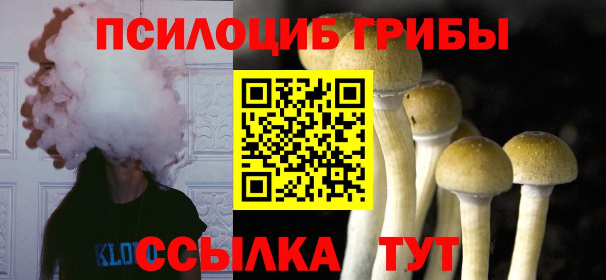 Псилоцибиновые грибы мицелий  Вход с VPN  Клин 